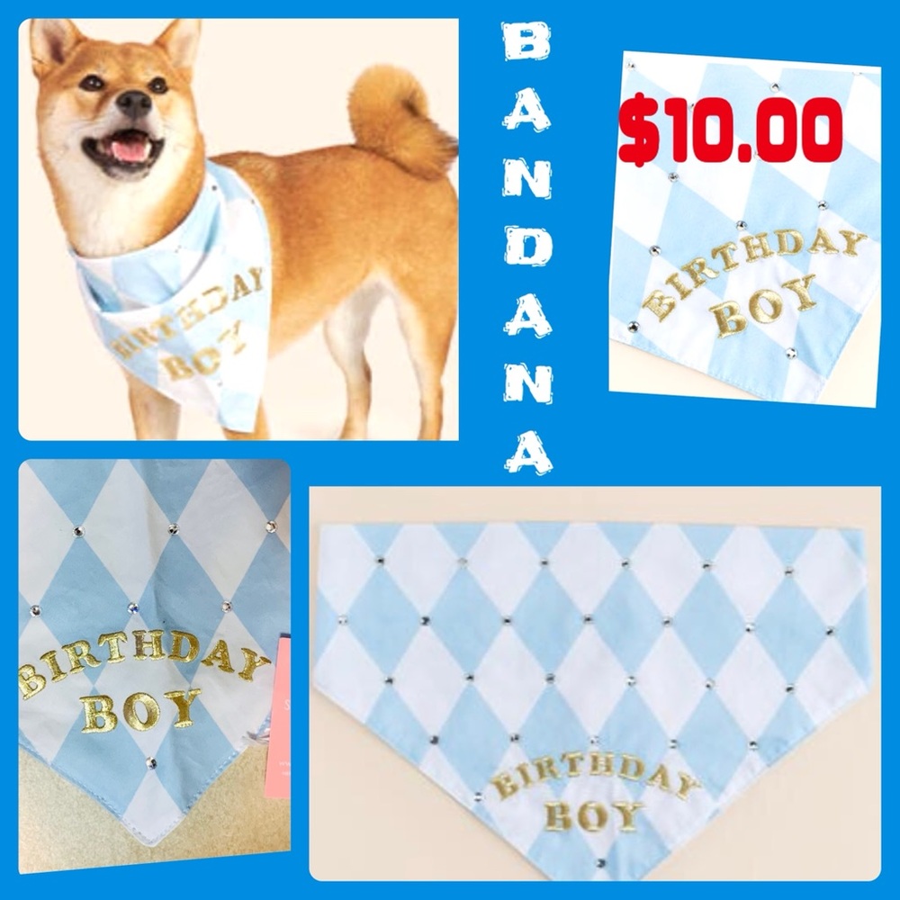 Francesca’s Collections Birthday Boy Bandana